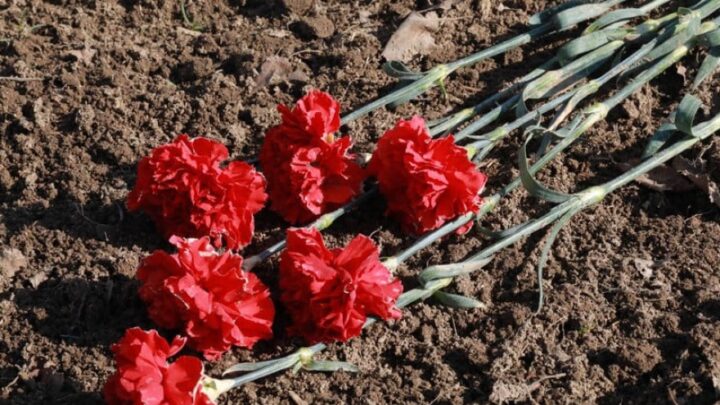 Швед: места массовых захоронений жертв ВОВ находим еженедельно