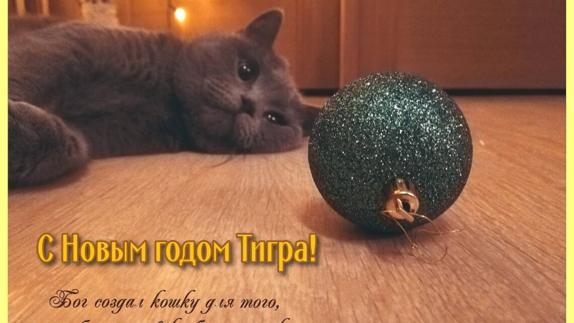 Участник районного мультимедийного новогоднего конкурса «Фейерверк» учащийся 5 А класса Жигорович Елисей со своей работой «Маленький тигр» в номинации «Открытка» Участник районного мультимедийного новогоднего конкурса «Фейерверк» учащийся 5 А класса Жигорович Елисей со своей работой «Маленький тигр» в номинации «Открытка»