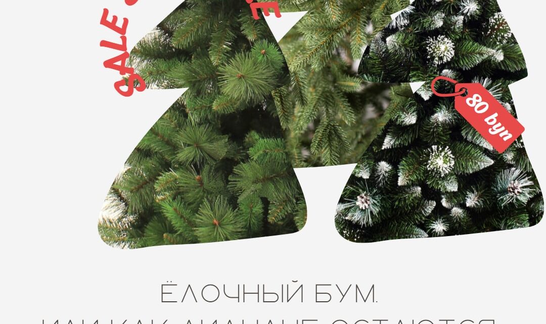 Елочный бум, или как лидчане остаются без елок и без денег