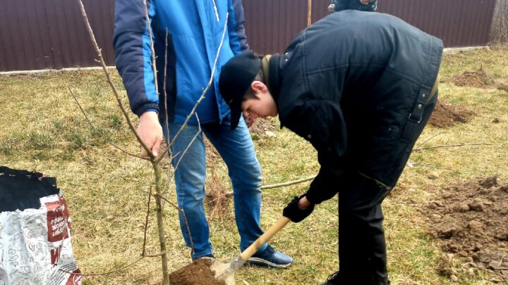 Вот что значит «каникулы с пользой»