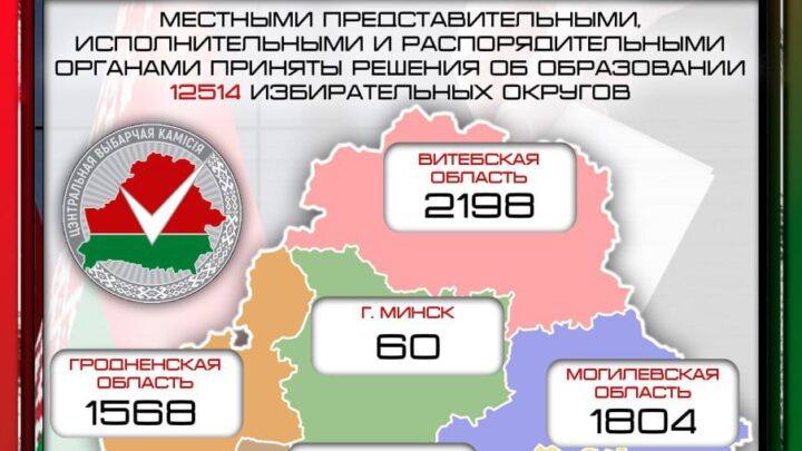  Беларусь. Единый день голосования