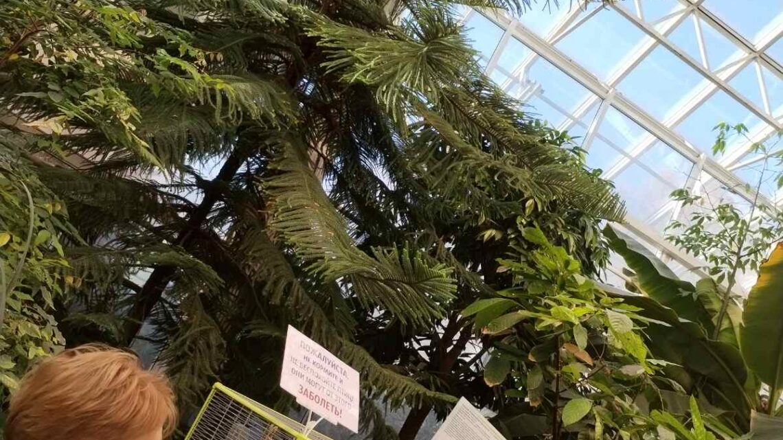 На каникулах пятые классы организовали экскурсию в город Минск На каникулах пятые классы организовали экскурсию в город Минск