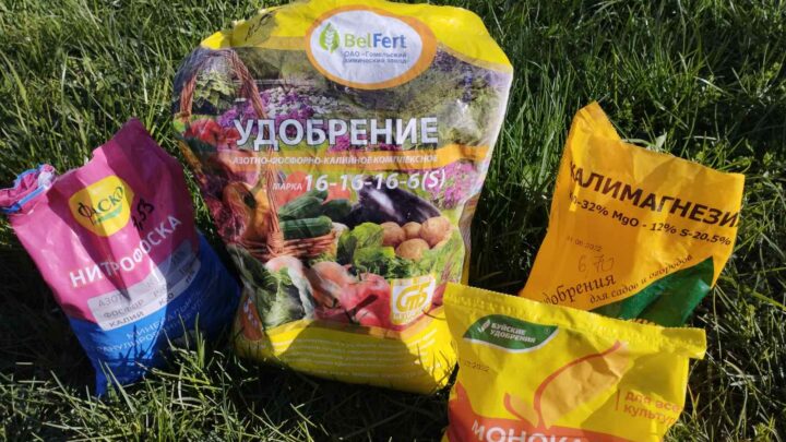 Удобрения вносим — деревья плодоносят!