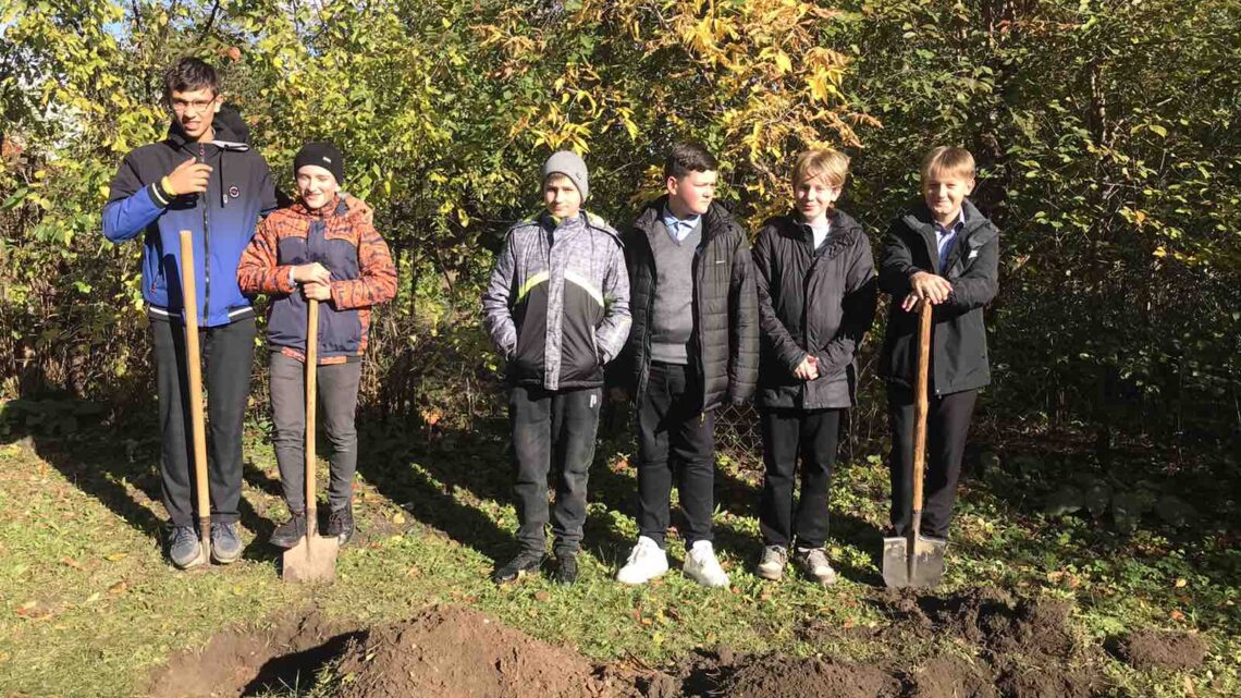 Дикорастущие родственники