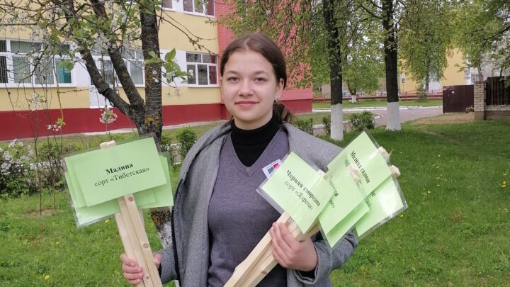 Садовая инвентаризация