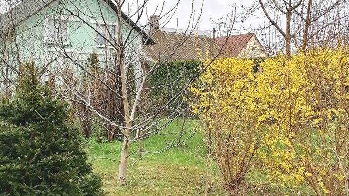 Апрельские хлопоты