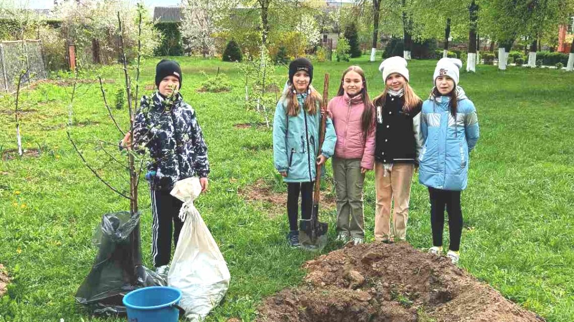 Копаем глубоко, высаживаем бережно Копаем глубоко, высаживаем бережно