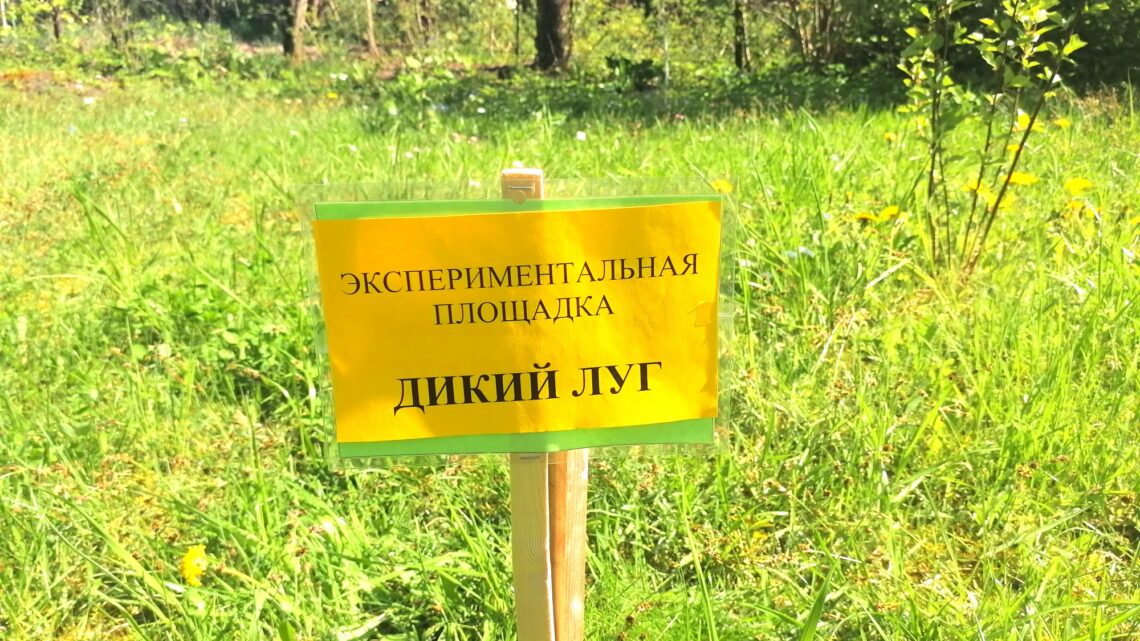 Экспериментальная площадка «Дикий луг» Экспериментальная площадка «Дикий луг»