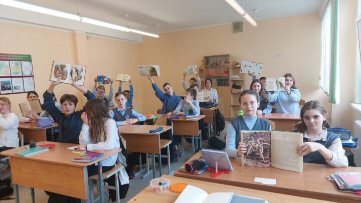 Удивительный мир насекомых