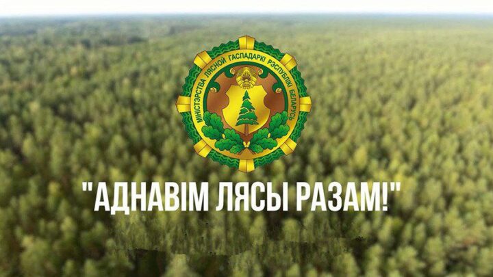 Акция «Дай лесу новае жыццё!» пройдет в Беларуси с 21 марта по 12 апреля