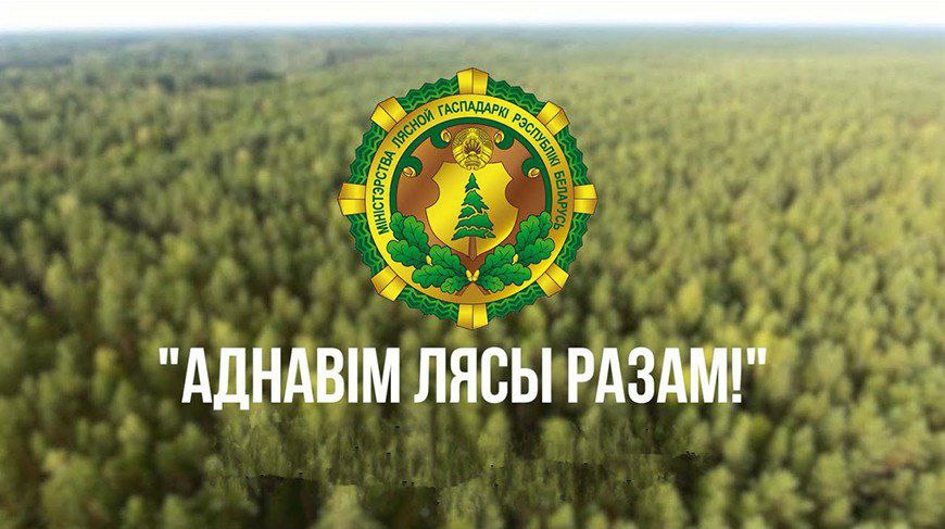 Акция «Дай лесу новае жыццё!» пройдет в Беларуси с 21 марта по 12 апреля Акция «Дай лесу новае жыццё!» пройдет в Беларуси с 21 марта по 12 апреля