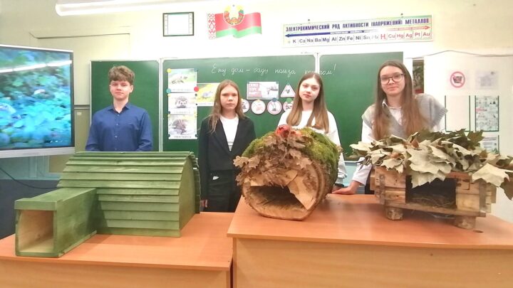 Ежу дом — саду польза кругом!