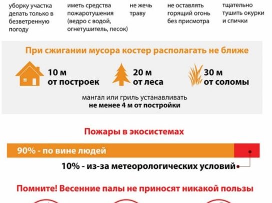 В МЧС рассказали о мерах предосторожности при наведении порядка на территории