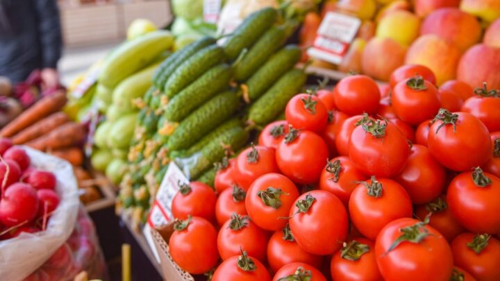 🥒 В Лиде продолжается сезон осенних сельскохозяйственных ярмарок