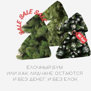 Елочный бум, или как лидчане остаются без елок и без денег
