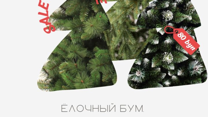 Елочный бум, или как лидчане остаются без елок и без денег