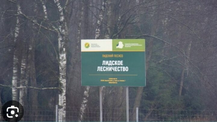 Внимание  Внимание  Внимание