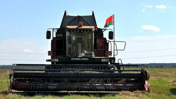 🚜 В хозяйстве «Песковцы» чествовали передовиков жатвы