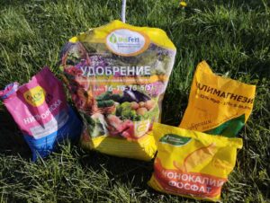 Удобрения вносим — деревья плодоносят!