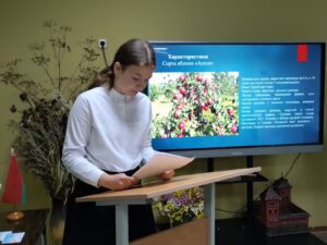 Проект «Садовый экодворик»