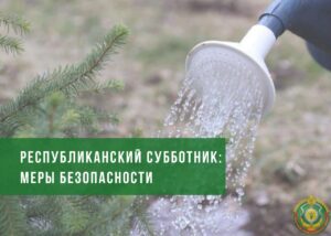  Рассказываем все, что нужно знать мерах безопасности при проведении республиканского субботника