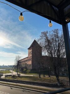 ❗️В целях повышения уровня безопасности населения и предупреждения пожаров и гибели людей от них с 25 февраля по 6 марта в Лидском районе пройдет декадник пожарной безопасности.
