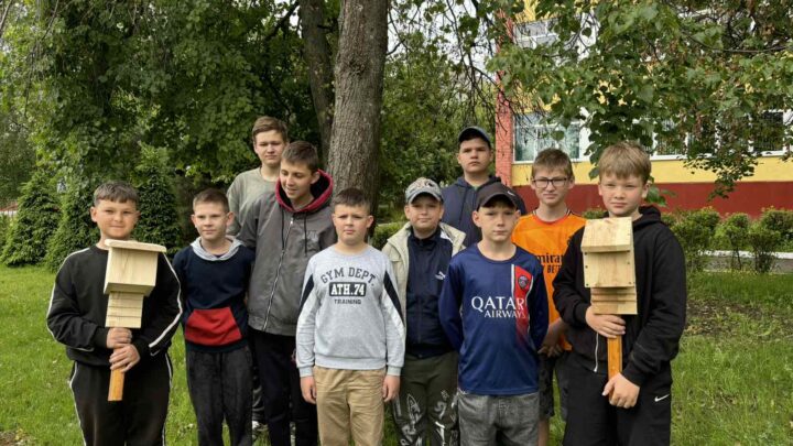 Общежитие для летучих мышей
